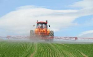 農業生產專門化 農業生產專門化