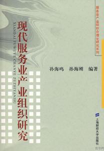 現代服務業產業組織研究