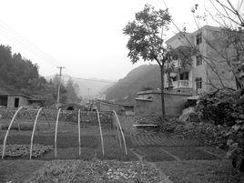 桐樹溝村 桐樹溝村