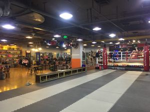 風暴拳館 風暴拳館