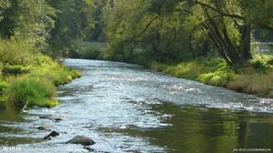 皺度係數 皺度係數