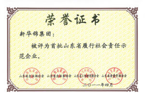 新華錦集團有限公司 新華錦集團有限公司