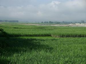 弄么村[雲南省德宏州梁河縣遮島鎮弄么村]