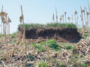 遼河套邊牆 遼河套邊牆