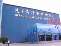 蓬萊海洋極地世界 蓬萊海洋極地世界