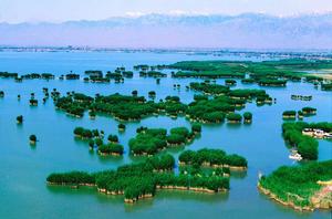 石嘴山市沙湖旅遊景區 石嘴山市沙湖旅遊景區