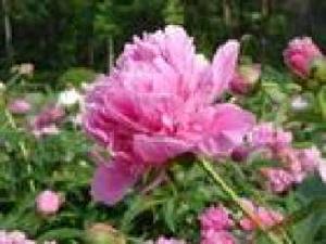 摩卡小築 摩卡小築