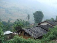 楊家半自然村 楊家半自然村