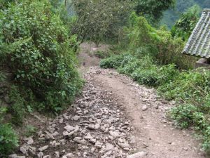 大小陸廠村 大小陸廠村