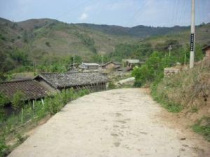 阿樹下寨村 阿樹下寨村