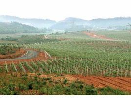 新余國家農業科技園 新余國家農業科技園