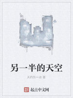 另一半的天空 另一半的天空