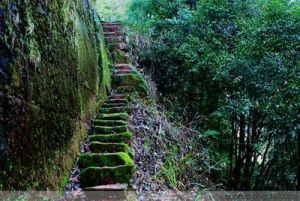 愛情天梯的故事