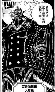 金[漫畫航海王中的King]