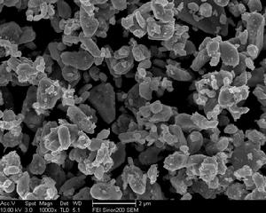 固力邦&middot;CuringBon(TM)SEM圖