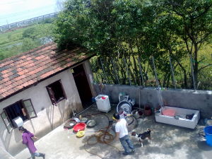 武漢落雁流浪動物救助中心 武漢落雁流浪動物救助中心