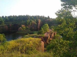 龍陂村[江西省鄱陽縣蘆田鄉下轄村]