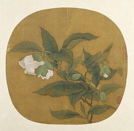 宋故宮本扇面畫夜合花圖 宋故宮本扇面畫夜合花圖