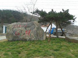 毛坪村[山東省蒙陰縣野店鎮毛坪村]