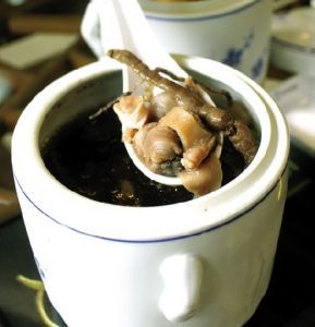 杜仲枸杞子燉公雞 杜仲枸杞子燉公雞