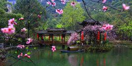 桃花源[重慶酉陽桃花源]