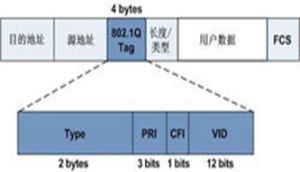 IEEE 802.1Q標準的VLAN幀格式