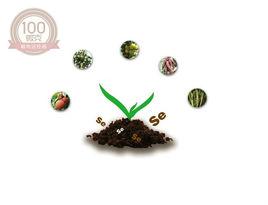 植物活性硒 植物活性硒