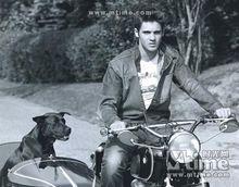 史蒂文&middot;R&middot;麥奎因