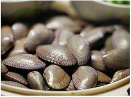 花甲[軟體動物蛤蜊]