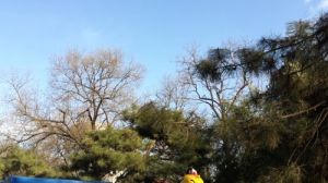 蘋果iPhone 4視頻截圖