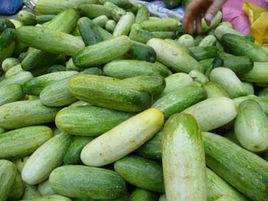 山黃瓜[山黃瓜]