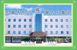 東達蒙古王集團 東達蒙古王集團