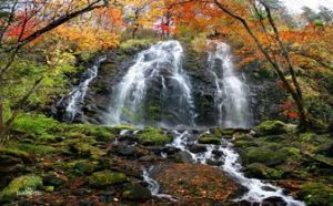 吉林白山原麝國家級自然保護區 吉林白山原麝國家級自然保護區