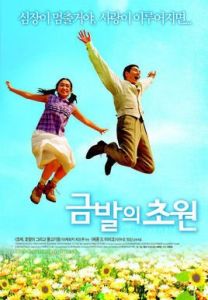 金髮草原 金髮草原