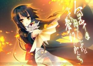 戰國戀姬 戰國戀姬