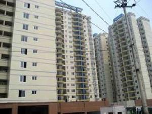 天越雅園 天越雅園