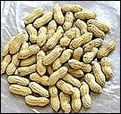 花育25號 花育25號