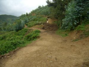 麥作下村 麥作下村