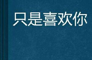 只是喜歡你[小說]