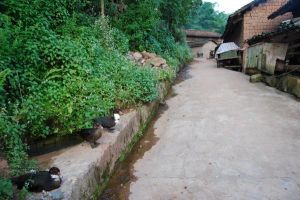 照井自然村 照井自然村