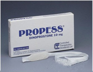 欣普貝生 欣普貝生