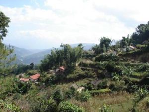 坡竹林自然村 坡竹林自然村