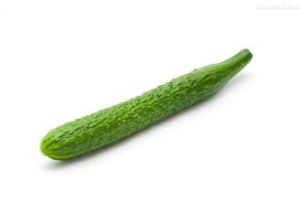 鑫福高抗巨豐199黃瓜 鑫福高抗巨豐199黃瓜