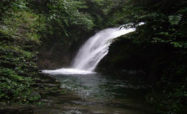 九龍十八潭 九龍十八潭