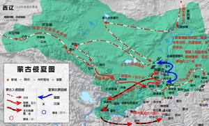 蒙古滅夏 蒙古滅夏