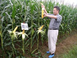 湖北省種子集團有限公司 湖北省種子集團有限公司