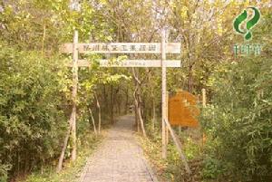 揚州十二粉黛生態美肌植物園