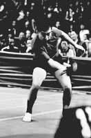 桌球各種類型打法