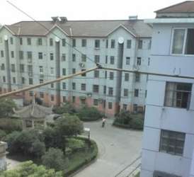 東南新村周浦 東南新村周浦