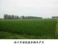 水口鎮[安徽省來安縣下轄鎮]